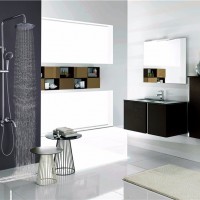 开平金麦卫浴 ** 三功能大淋浴花洒套装 0885