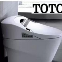 德国即热坐便器遥控全自动冲水烘干座便器电动一体智能马桶价