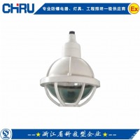 创瑞 CRBAD51-N200曾安型防爆灯 增安型吸顶灯 防爆金卤灯