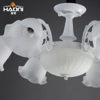 欧式田园吊灯吸顶灯现代客厅灯卧室灯餐厅灯具锌合金磨砂玻璃灯罩