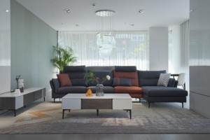 左右家居：沙发材质如何选择？